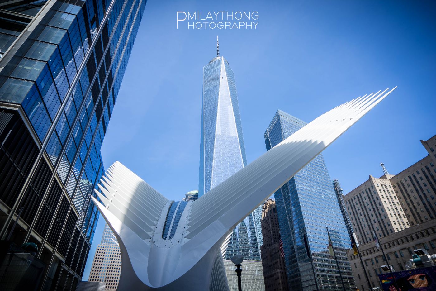 WTC Oculus and One World Trade Center