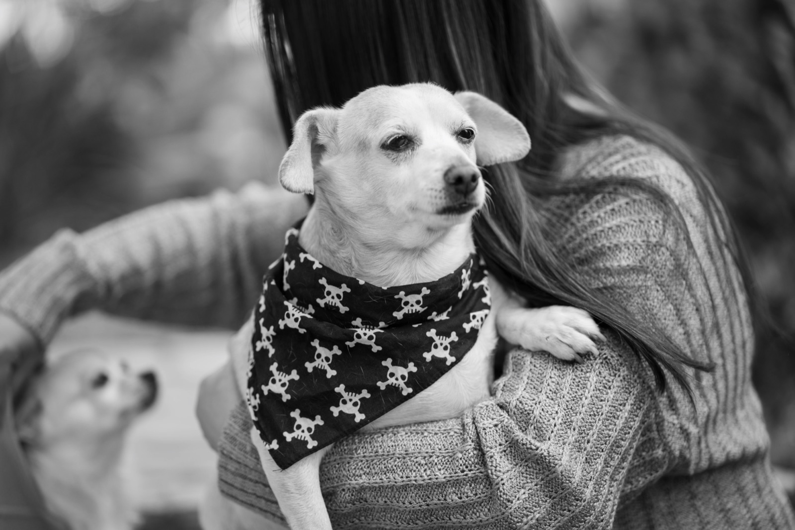 Small dog in a skull-print bandana resting on its owner's shoulder, black and white